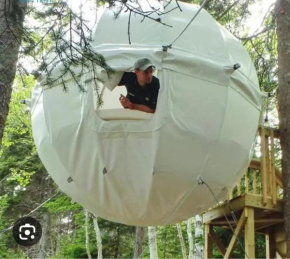 terrebioSatellite
